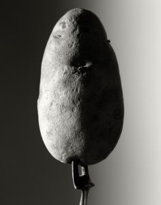 Black and White portrait of potato on old fork.