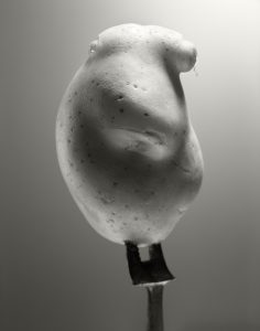 Black and White portrait of potato on old fork.